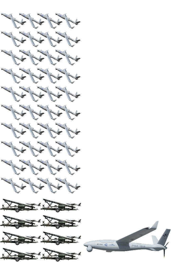 8 zestawów (40 dronów) PGZ-19R (Orlik)
